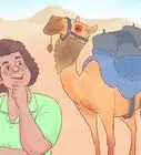 Buy a Camel