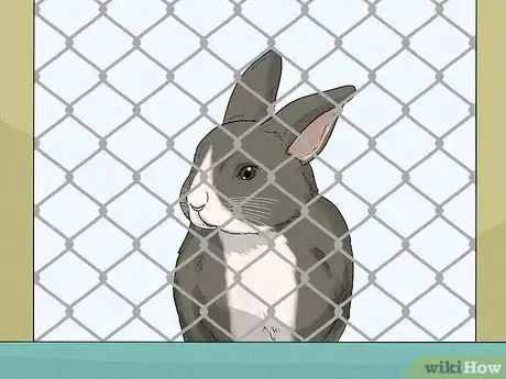 Image titled Stop a Bunny from Chewing Its Cage Step 4
