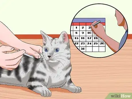 Image titled Tell if a Cat Has Rabies Step 9