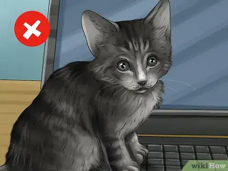 Image titled Cat Proof Your Computer Step 6