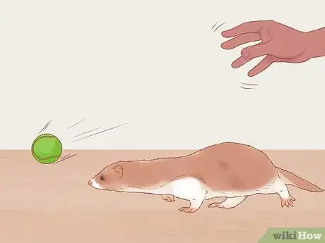 Image titled Play with a Pet Ferret Step 8