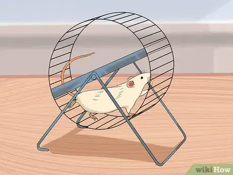 Image titled Keep Pet Rats Safe from Dogs Step 12