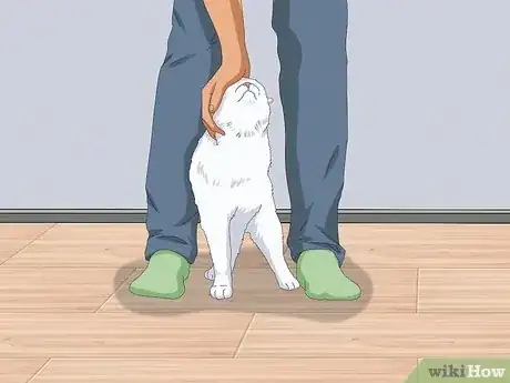 Image titled Get a Cat for a Pet Step 12