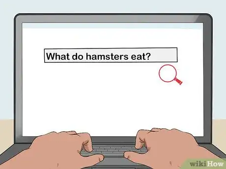 Image titled Convince Your Parents to Get You a Hamster Step 1