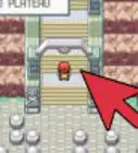 Get to the Elite Four in Pokémon FireRed and LeafGreen