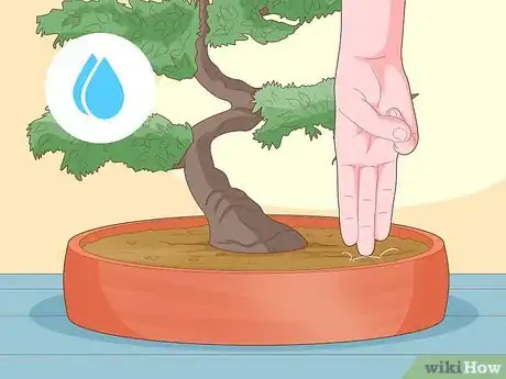 Image titled Water a Bonsai Tree Step 1