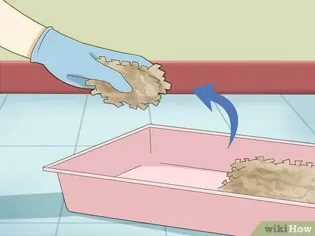 Image titled Give Your Hamster a Bath Step 2