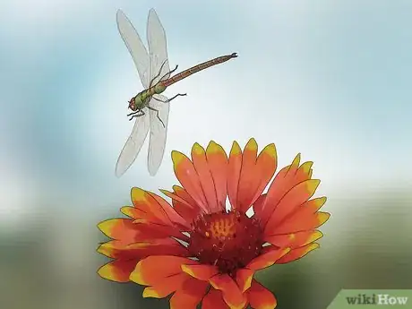 Image titled Attract Dragonflies Step 11