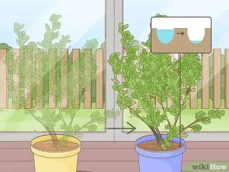 Image titled Get Rid of Fruit Flies in Plants Step 5