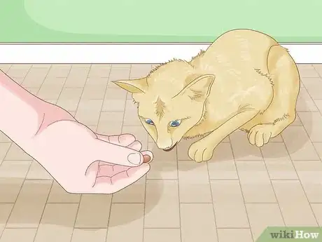 Image titled Stop a Cat from Pooping on the Floor Step 10
