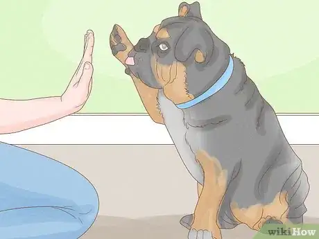 Image titled Stop a Dog from Humping Step 13