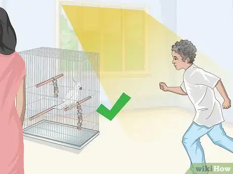 Image titled Take Care of Cockatoos Step 4