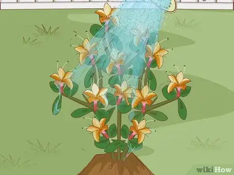Image titled Plant Azaleas Step 6