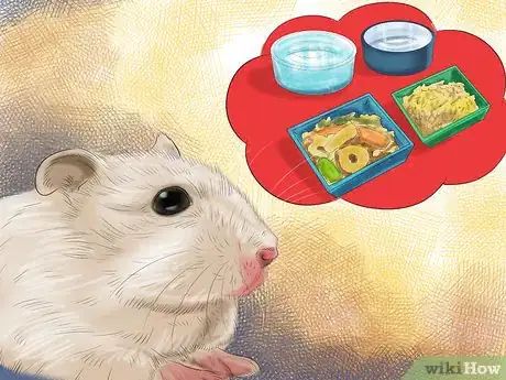 Image titled Care for Mice During Vacation Step 1