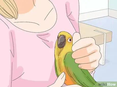 Image titled Keep a Pet Bird Quiet Step 12