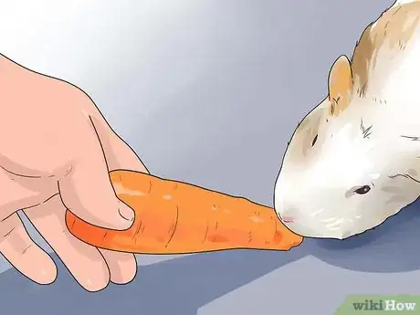Image titled Make Guinea Pig Treats Step 1