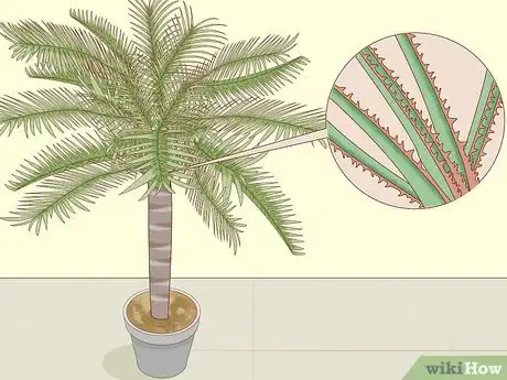Image titled Identify Palm Trees Step 1