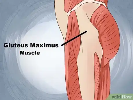 Image titled Build Butt Muscles Step 14