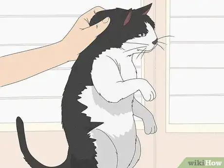 Image titled Calm an Aggressive Cat Step 1