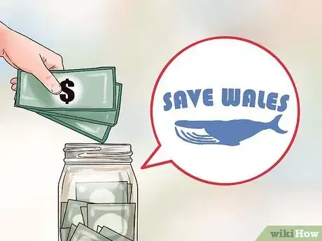 Image titled Help Stop Whaling Step 8