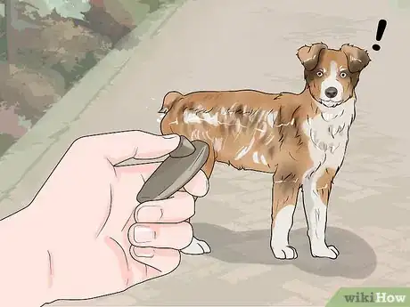 Image titled Stop a Dog from Herding Step 2