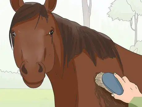 Image titled Teach Your Horse to Stop Biting Step 3