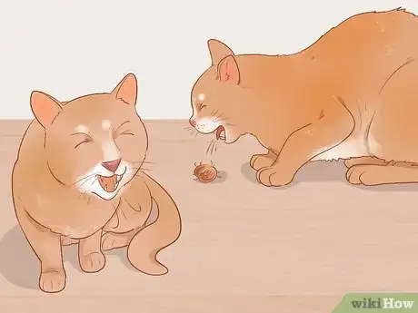 Image titled Know if Your Cat Is Sick Step 17