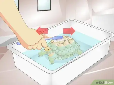 Image titled Bathe a Tortoise Step 8