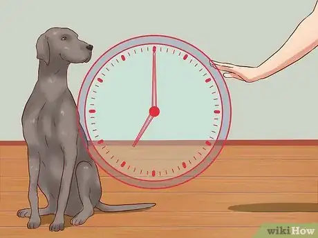 Image titled Teach Your Dog Basic Commands Step 8