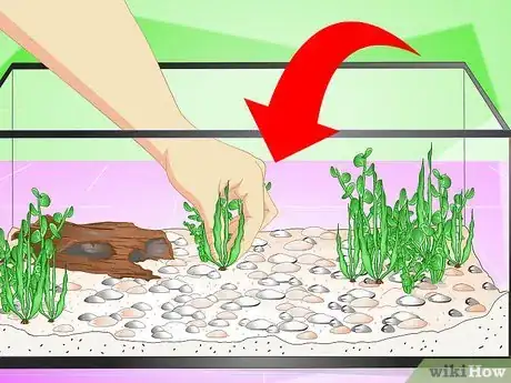 Image titled Set up a Fish Tank (for Goldfish) Step 2