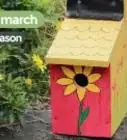 Make a Bird Box