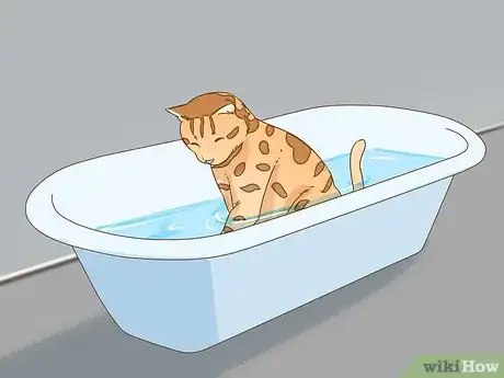 Image titled Keep a Bengal Cat Happy Step 11