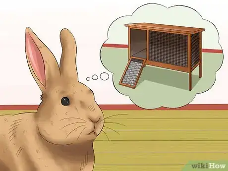 Image titled Teach Your Rabbit to Go Back to His Hutch Step 11