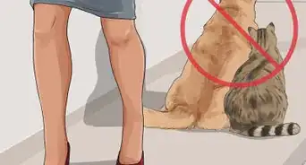 Know if a Pet Bite Is Serious