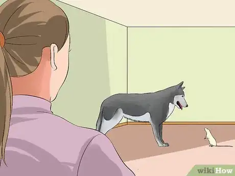 Image titled Keep Pet Rats Safe from Dogs Step 10