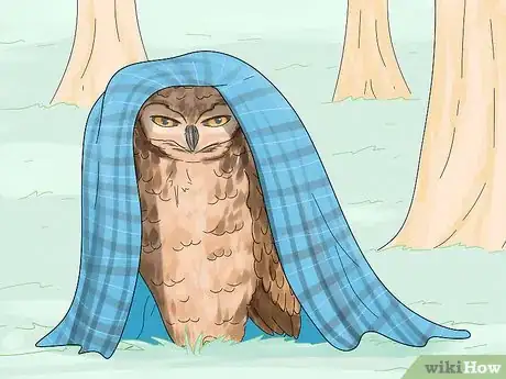 Image titled Take Care of Owls Step 1