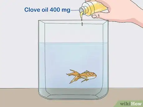 Image titled Tell if Your Fish Is Dead Step 6