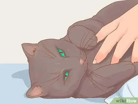 Image titled Stop Your Cat from Attacking Your Dog Step 11