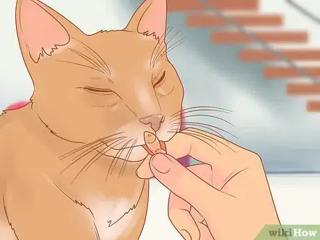 Image titled Stop Your Cat from Attacking Your Dog Step 18