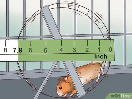 Image titled Care for a Hamster Step 22