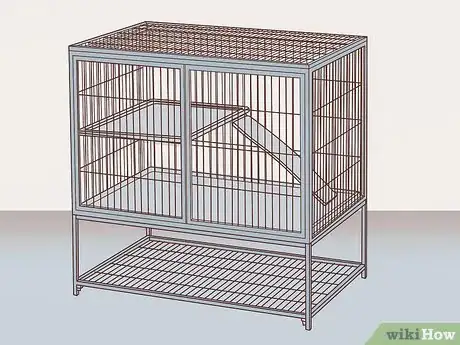 Image titled Care for Peruvian Guinea Pigs Step 1