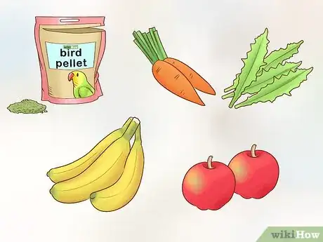 Image titled Know if a Cockatiel Is Right for You Step 6