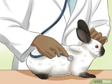 Image titled Care for Californian Rabbits Step 14