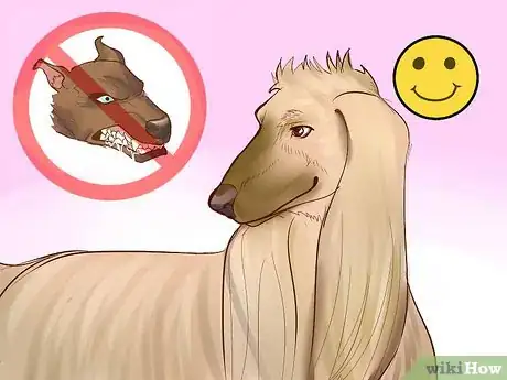 Image titled Create a Responsible Dog Breeding Program Step 6