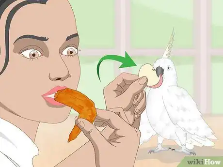 Image titled Take Care of Cockatoos Step 8