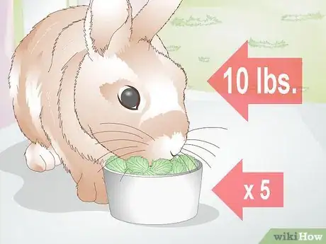 Image titled Feed Greens to Your Rabbit Step 9