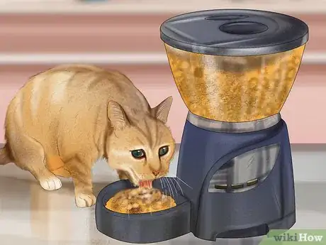 Image titled Plan a Feeding Schedule for Your Cat Step 10