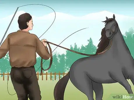 Image titled Teach Your Horse to Lunge Step 10