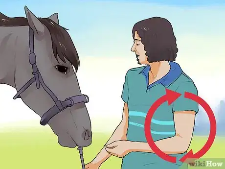 Image titled Discipline a Horse Without Using Aggression Step 8