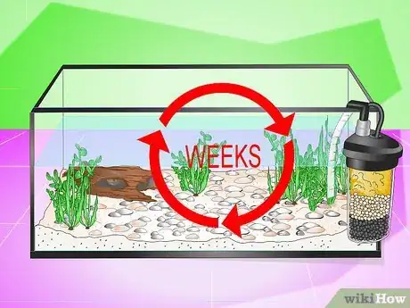 Image titled Set up a Fish Tank (for Goldfish) Step 5